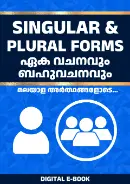 eBook #11